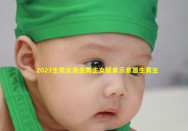 2023生男女表生男生女脈象示意圖生男生女參照表