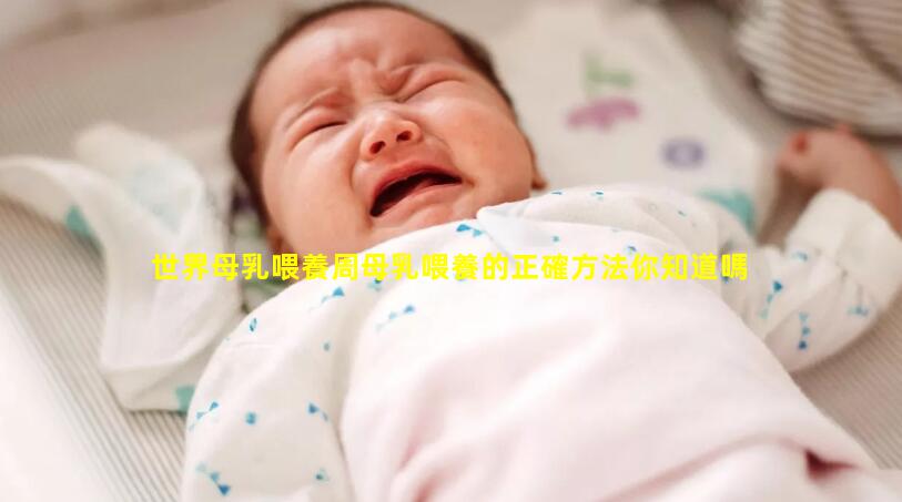 世界母乳喂養周母乳喂養的正確方法你知道嗎？-產前要準備什么