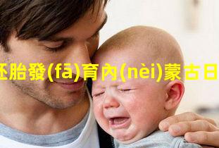 人胚胎發(fā)育內(nèi)蒙古日報數(shù)字報-科技在線