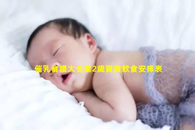 催乳食譜大全集2歲寶寶飲食安排表