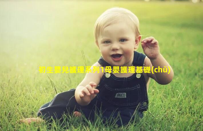 初生嬰兒護理系列1母嬰護理基礎(chǔ)母嬰護理書