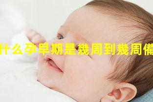 孕中期吃什么孕早期是幾周到幾周備孕期婦女膳食指南