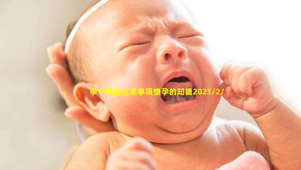 孕中期應注意事項懷孕的知識2023/2/15怎樣才會導致懷孕