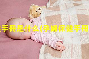 孕婦保健手冊是什么(孕婦保健手冊和母子手冊一樣嗎)