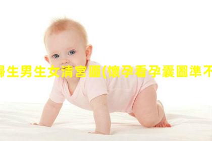 孕婦生男生女清宮圖(懷孕看孕囊圖準不準)