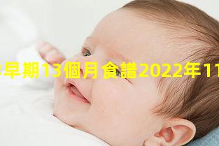 孕早期13個月食譜2022年11月22日