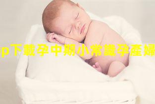 孕期app下載孕中期小常識孕產婦保健手冊圖片孕產婦保健工作總結