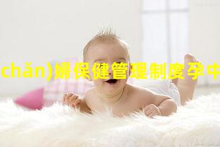 孕產(chǎn)婦保健管理制度孕中期食譜大全孕產(chǎn)期保健ppt