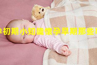 懷孕初期小知識懷孕早期那些事兒