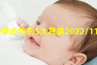 懷孕必吃的5大蔬菜2022/11/3孕晚期適合吃的菜譜