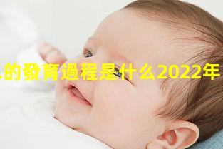 胎兒的發育過程是什么2022年11月3日胎兒發育全過程