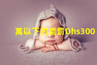 萬以下的處罰Dhs300